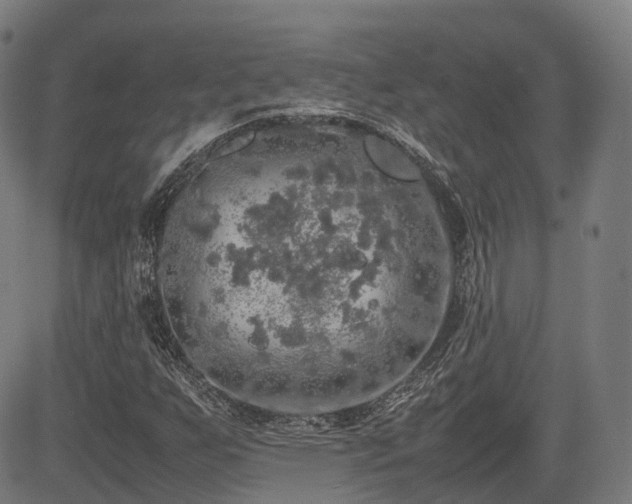 X0000085271255200703091343