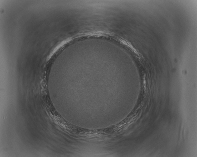 X0000085271256200703091343