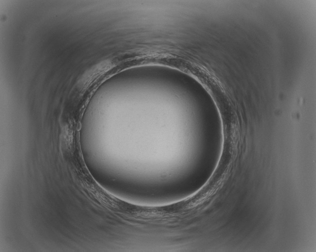 X0000085271257200703091343