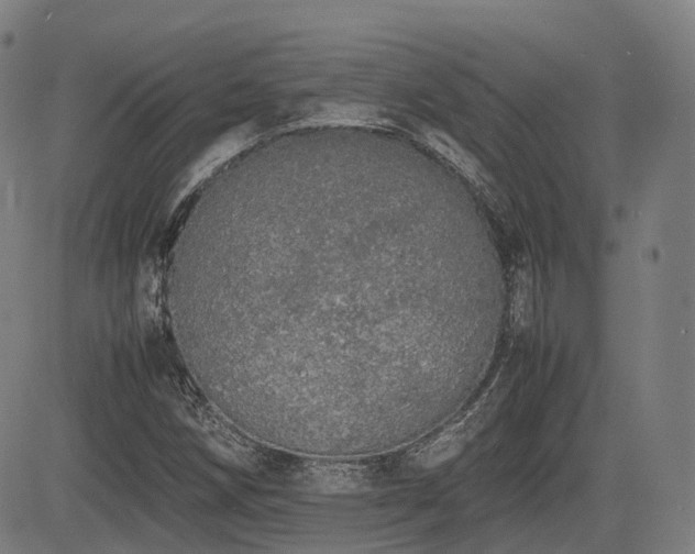 X0000085271258200703091343