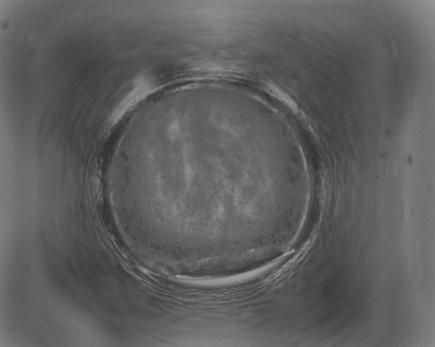 X0000085271259200703091343