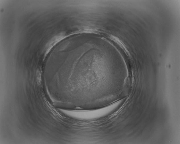 X0000085271260200703091343