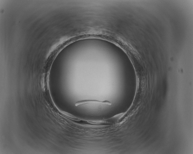 X0000085271262200703091343