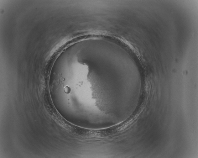 X0000085271263200703091343