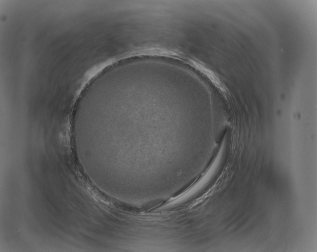 X0000085271264200703091343