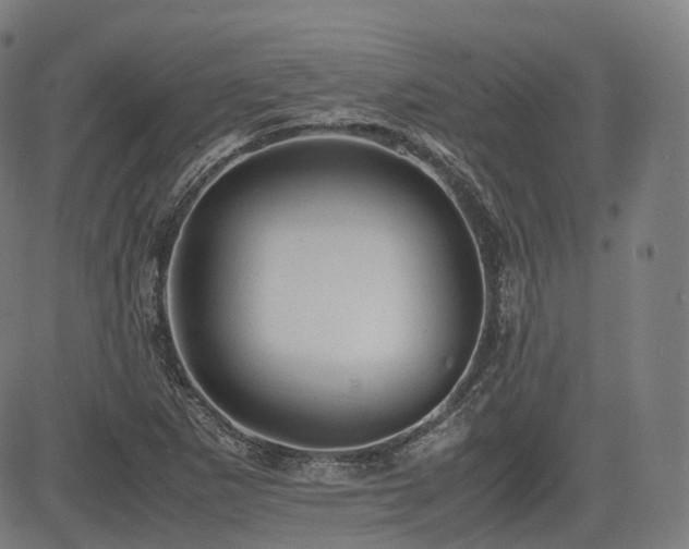 X0000085271265200703091343