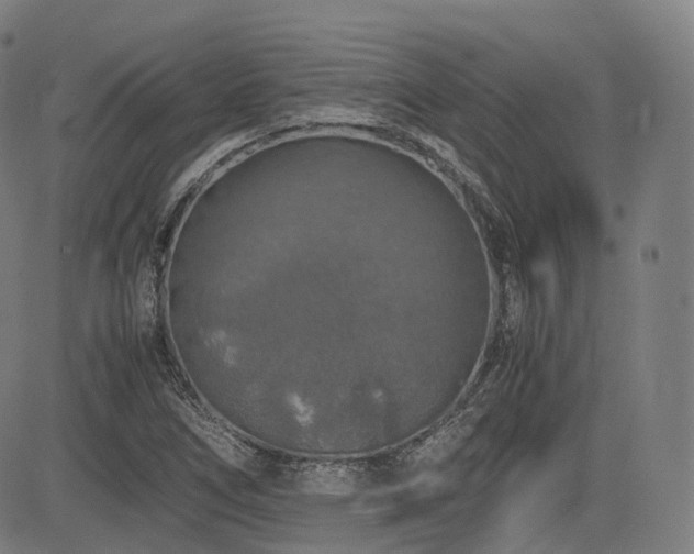 X0000085271266200703091343