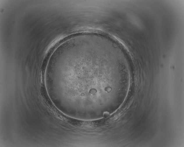 X0000085271267200703091343