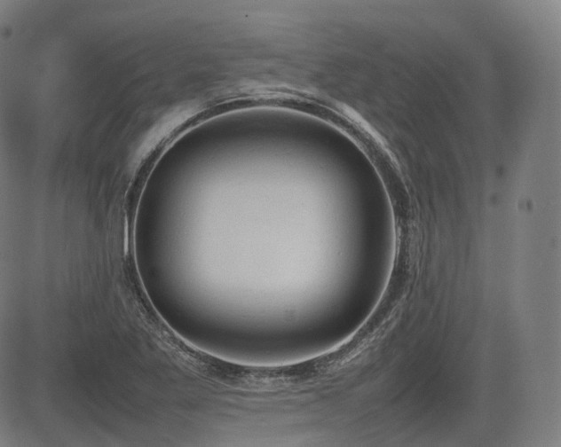 X0000085271269200703091343