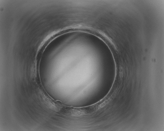 X0000085271270200703091343