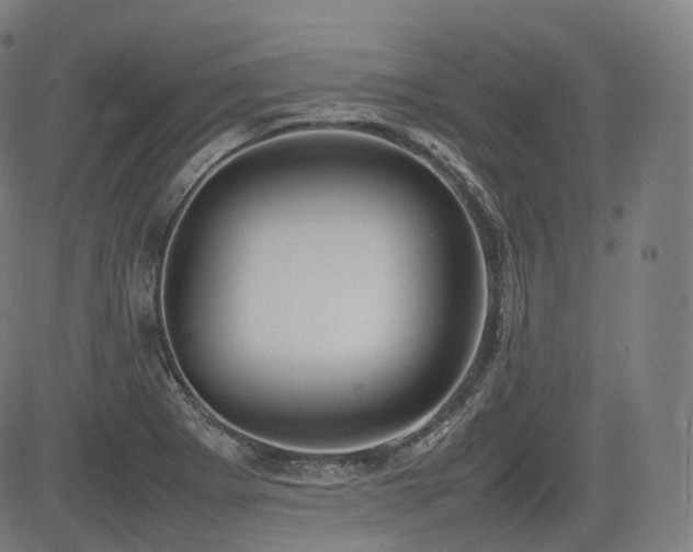 X0000085271273200703091343