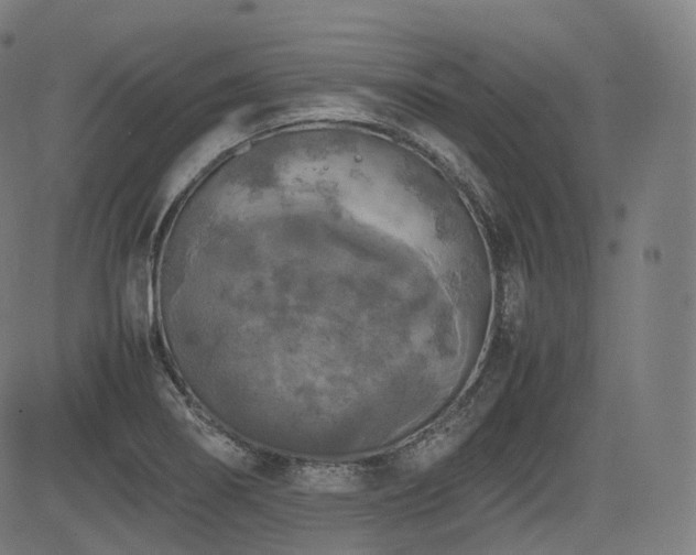 X0000085271274200703091343