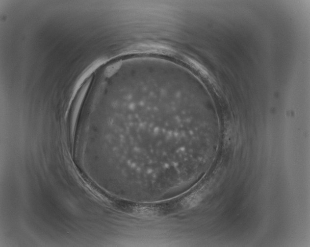 X0000085271275200703091343