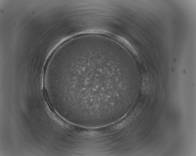 X0000085271276200703091342