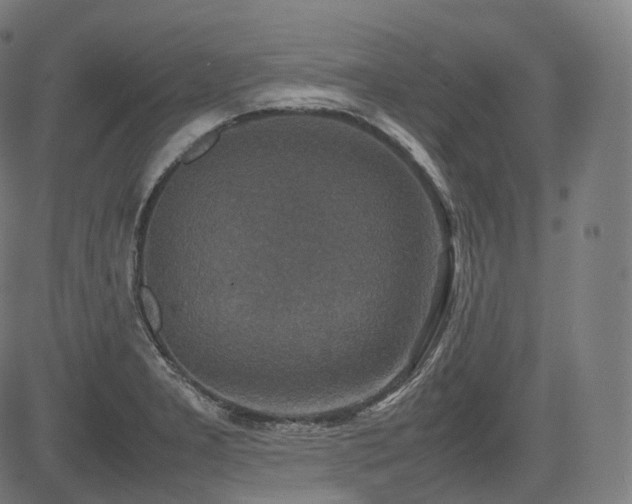 X0000085271277200703091342