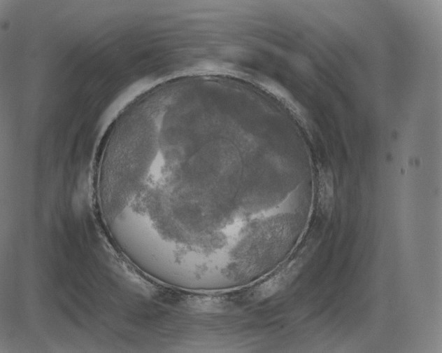 X0000085271278200703091342