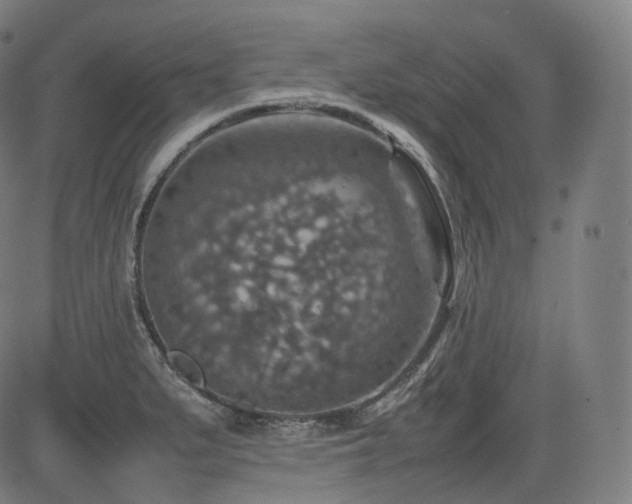 X0000085271279200703091342