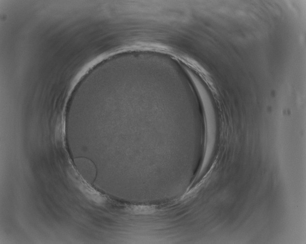 X0000085271280200703091342