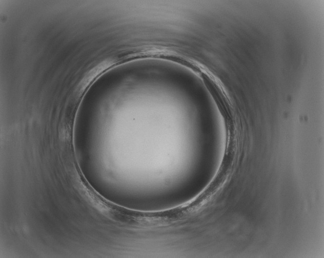 X0000085271281200703091342