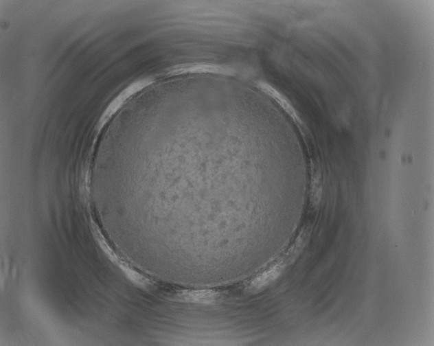 X0000085271282200703091342