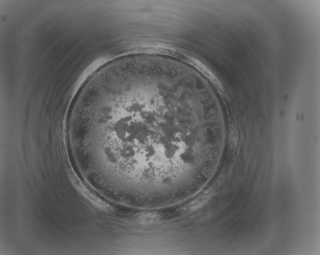 X0000085271283200703091342