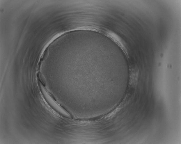 X0000085271284200703091342