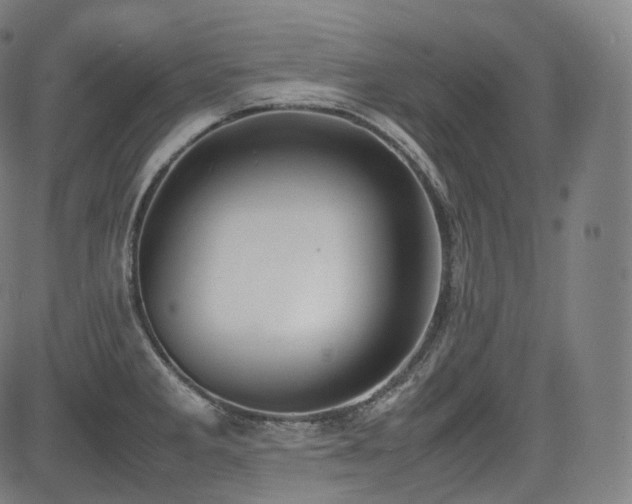 X0000085271285200703091342