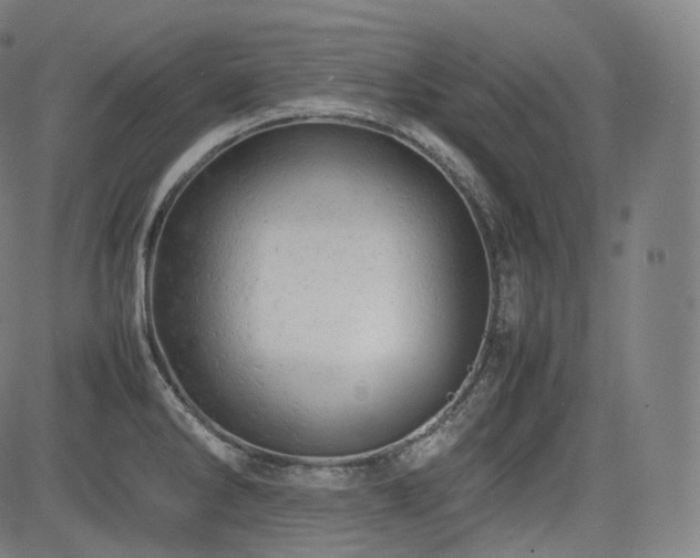 X0000085271286200703091342