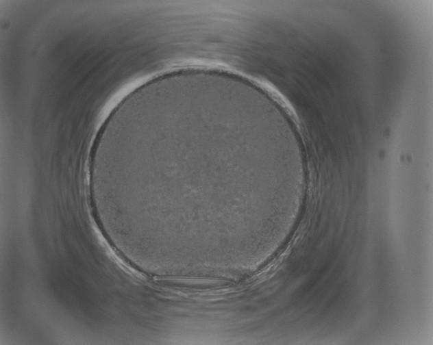 X0000085271287200703091342