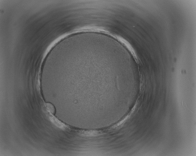 X0000085271288200703091342