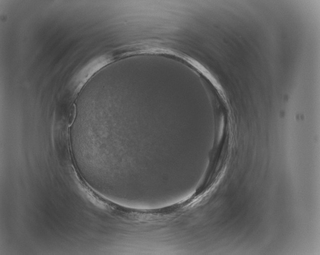 X0000085271289200703091342