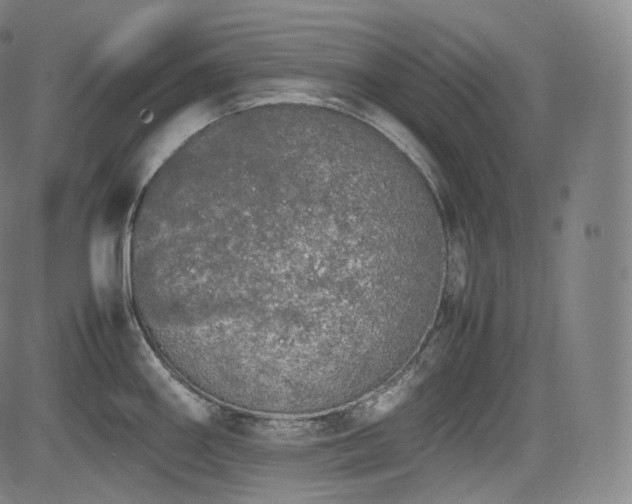 X0000085271290200703091342