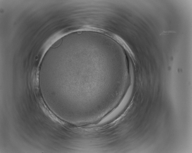 X0000085271292200703091342