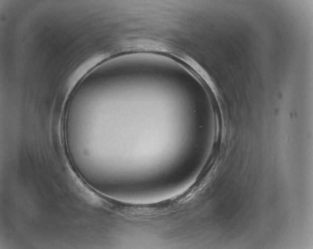 X0000085271293200703091342