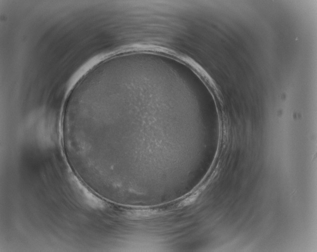 X0000085271294200703091342