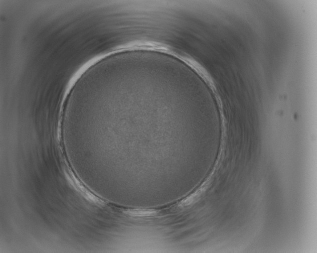 X0000085271296200703091342