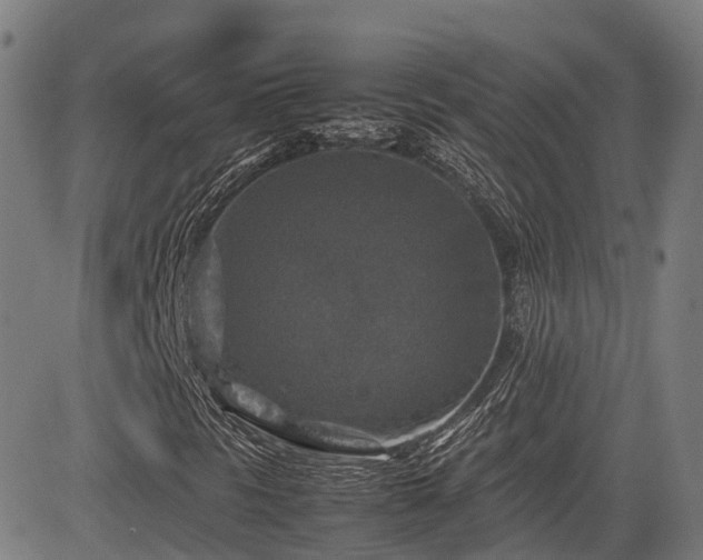 X0000085271297200703091341