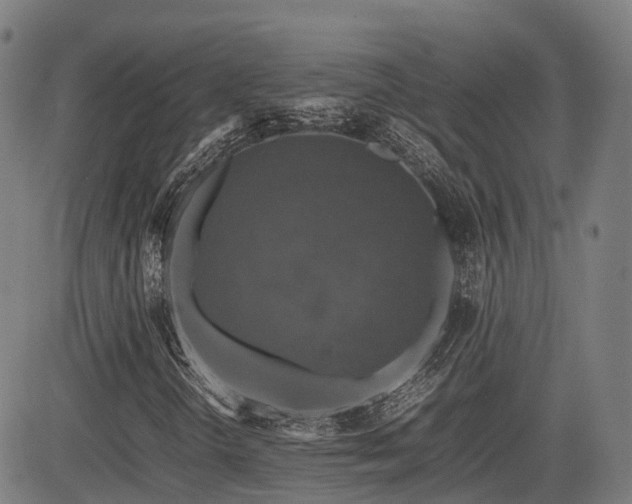 X0000085271298200703091341