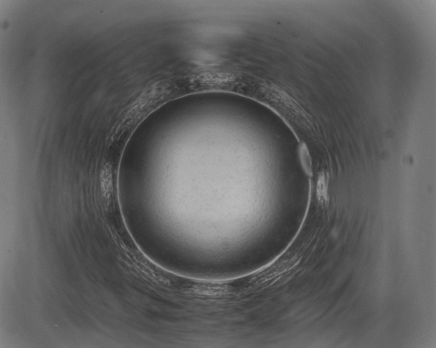 X0000085271299200703091341