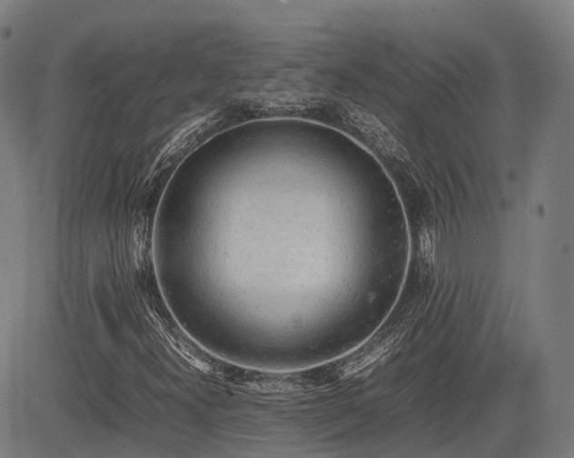 X0000085271300200703091341