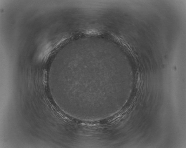 X0000085271301200703091341