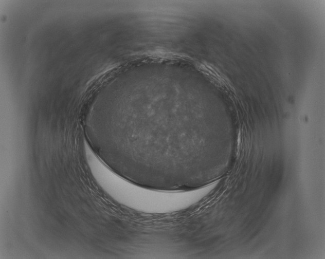 X0000085271302200703091341