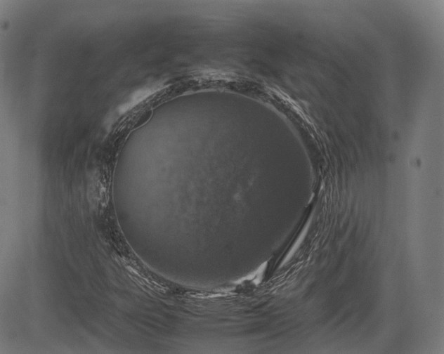 X0000085271303200703091341