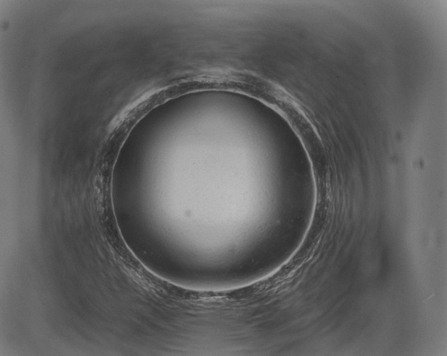 X0000085271304200703091341