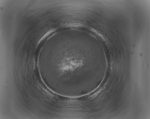 X0000085271306200703091342