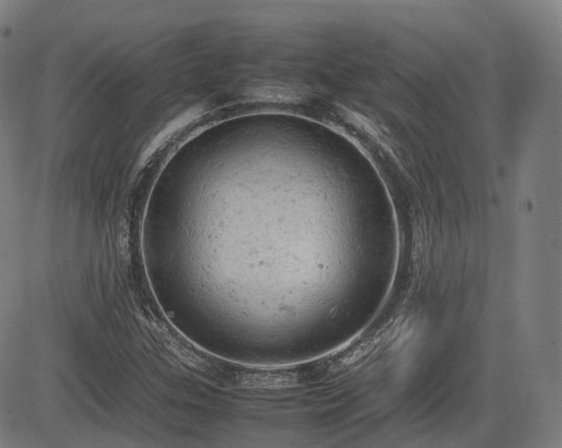 X0000085271307200703091342