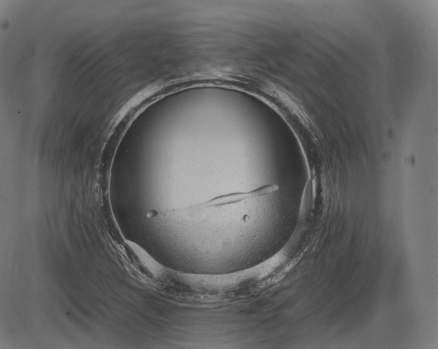 X0000085271308200703091342