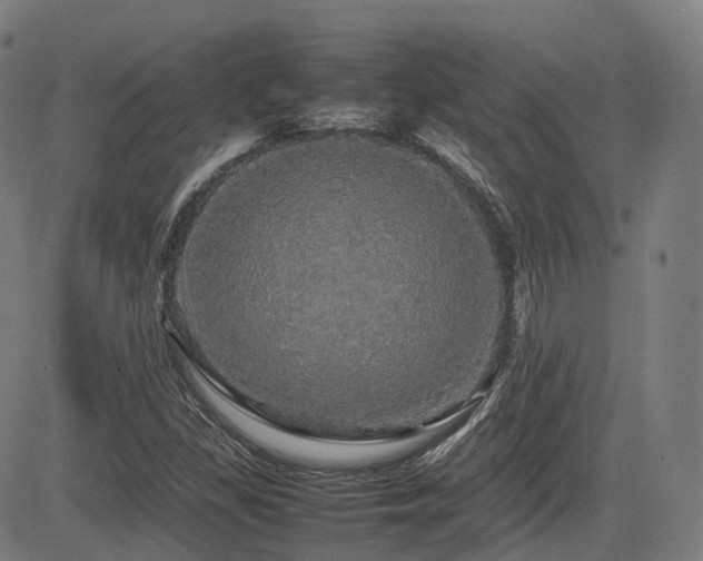 X0000085271309200703091342