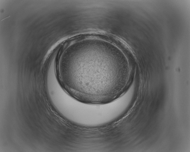 X0000085271310200703091342