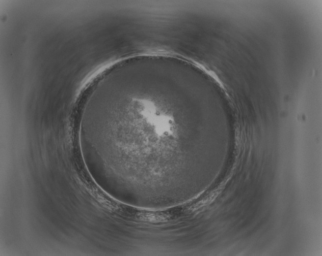 X0000085271311200703091342